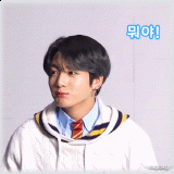 Softkookie
