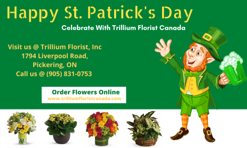 Today The holiday has evolved to become a secular Celebration Of Irish Culture with Parades, Partying, and exchange of green flowers. Make someone smile with an all green bouquet or a green plant from Trillium Florist, Inc. We can deliver same-day flower delivery to Pickering, Whitby, Markham, Mississauga, and Toronto. For more detail check out the website www.trilliumfloristcanada.com