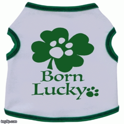 Let’s celebrate St. Patrick’s Day with Bloomingtails Dog Boutique by taking beautiful dog dress & accessories. We come with a great offer for this especial occasion. Get 25% off by using code "OUTSIDE" at the time of checkout. Happy St. Patrick’s day! For more products,  visit:https://www.bloomingtailsdogboutique.com/Holidays-and-Celebrations/St-Patricks