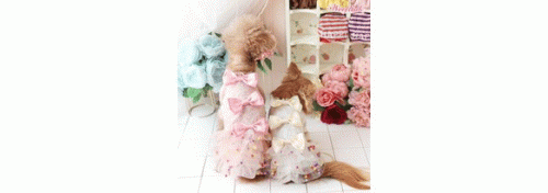 This designer dress for girls with cute bows. Including mesh layers with colorful pom poms inside. Can easily washable using hand. To deliver this product take 2-3 weeks. Buy this for your lovely & cute pup.
Price : $56.00
https://www.bloomingtailsdogboutique.com/sweet-pom-pom-dress-by-wooflink.html