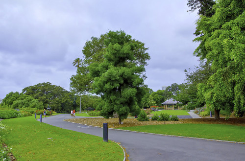 Sydney's Royal Botanic Gardens