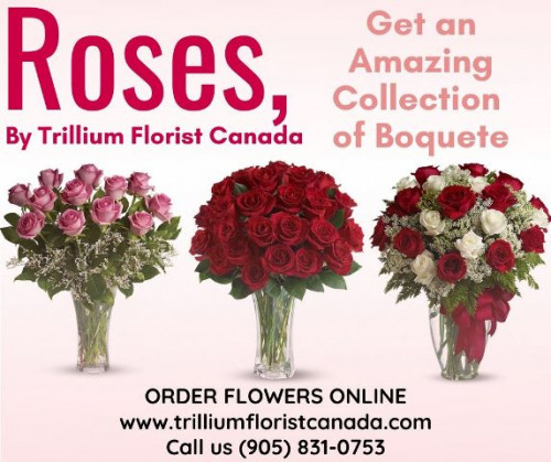 The Best Florist in Toronto understands roses as a symbol of Love. Roses are special from its history till now. Whether it's for a special date or a Valentine’s Day, there’s still no simpler way to convey romance than through bouquets of roses. So what are you waiting for Ordering Flowers Online Toronto and get the benefit of the same day Flowers Delivery in Toronto and Pickering, Ajax, Whitby, Oshawa & Markham from our website www.trilliumfloristcanada.com