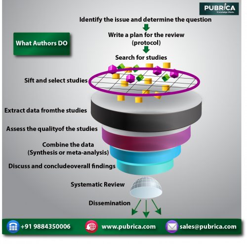 Systematic-Review---Pubrica.png