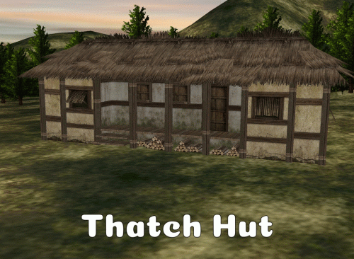 Thatch Hut