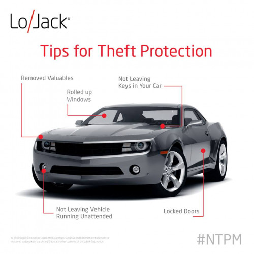 Theft protection