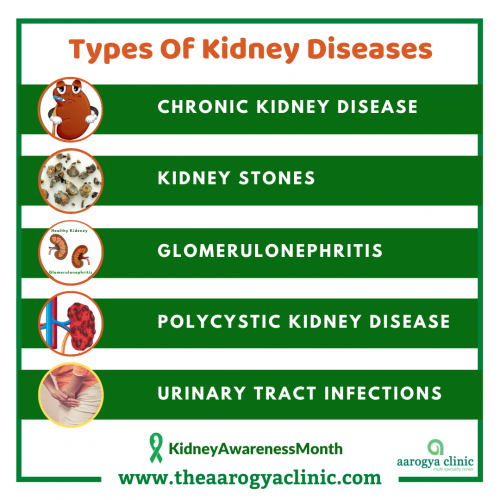 Homeopathy Treatment for Kidney Disease in Vellore, India | aarogya clinic  provide best homeopathy treatment for all types of kidney diseases.
To know more visit: www.theaarogyaclinic.com