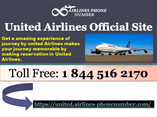 United-Airlines-Official-SIte.jpg