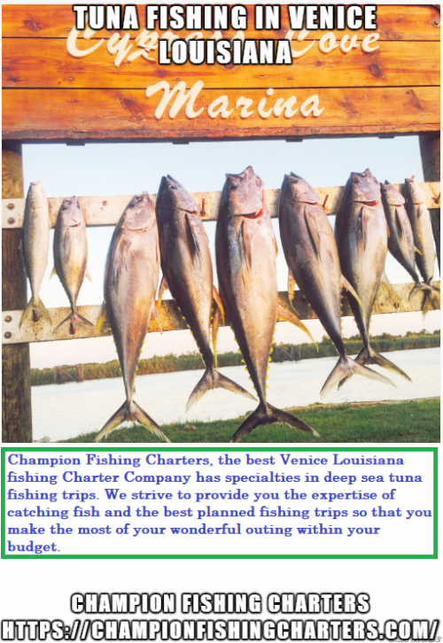 Champion Fishing Charters, the best Venice Louisiana fishing Charter Company has specialties in deep sea tuna fishing trips. We strive to provide you the expertise of catching fish and the best planned fishing trips so that you make the most of your wonderful outing within your budget.Visit,https://bit.ly/2F3pXcX