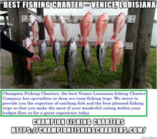 Champion Fishing Charters, the best Venice Louisiana fishing Charter Company has specialties in deep sea tuna fishing trips. We strive to provide you the expertise of catching fish and the best planned fishing trips so that you make the most of your wonderful outing within your budget. Visit,https://bit.ly/2trQWNj