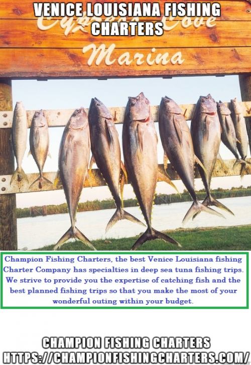 Champion Fishing Charters, the best Venice Louisiana fishing Charter Company has specialties in deep sea tuna fishing trips. We strive to provide you the expertise of catching fish and the best planned fishing trips so that you make the most of your wonderful outing within your budget.  Visit,https://bit.ly/39Tc3bm