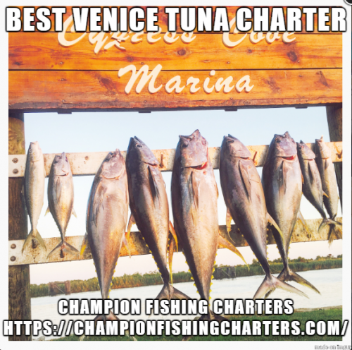 Champion Fishing Charters, the best Venice Louisiana fishing Charter Company has specialties in deep sea tuna fishing trips. We strive to provide you the expertise of catching fish and the best planned fishing trips so that you make the most of your wonderful outing within your budget.Visit,https://bit.ly/2CYkwLh