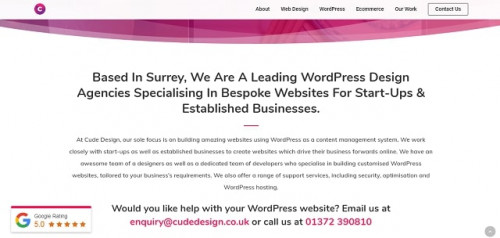 Web-Design-Surrey--Web-Design-Guildford--WordPress-Website-Design--Cannabis-Web-Design-2.jpg