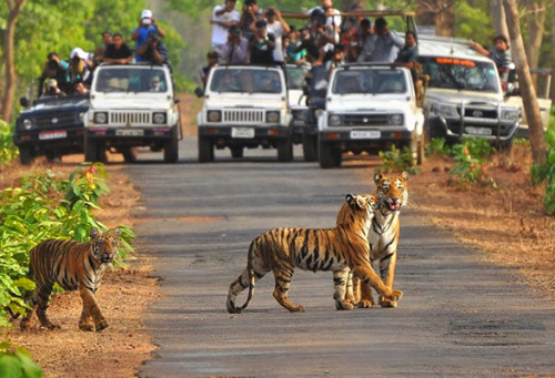 Weekend-Getaway-in-Jim-Corbett.jpg