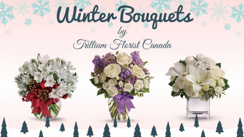 Winter brings so much with it, so this New Year 2020, why don't we celebrate the winter season with our family and friends by enjoying holidays with some amazing, Hand Picked Winter Bouquets by the Best Florist in Toronto. Get the Winter Flower Arrangements and Bouquets for this special moment by Ordering Flowers Online Toronto from the Best Flower Shops Toronto and get delivered from Toronto, Pickering, Ajax, Whitby, Oshawa to Markham. To Get some for you visit https://trilliumfloristcanada.com/