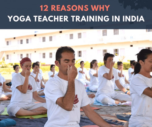 School of Arhanta Yoga Ashram offers best Yoga Teacher Training in India. We've trained many students and have a decade of experience guiding teachers. We have many yoga centers in India. For more info visit our website. https://www.arhantayoga.org/blog/12-reasons-why-you-should-do-your-yoga-teacher-training-in-india/