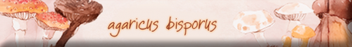 agaricus5.png