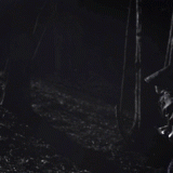 ambush
