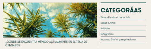 La comunidad médica y científica se ha dedicado a demostrar que el cannabis puede tratar una variedad de síntomas de diversas enfermedades. La marihuana y el amparos cannabis legal México en 2019.

Visita la página web:- https://ican.mx/donde-se-encuentra-mexico-actualmente-en-el-tema-de-cannabis/