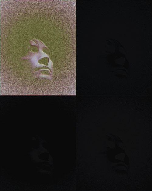 portrait-jaisini-gif-collage-circa-2014