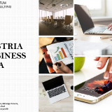 austria-business-visa9ae1d80daa00f525