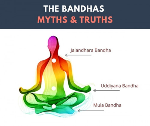 Bandhas in yoga are the body's internal muscular-physical 'locks' that, with practice, one can intentionally engage as necessary. They activate muscles and stimulate the organs and the glands in the respective region. For more info visit our website.  https://www.arhantayoga.org/blog/the-four-bandhas/