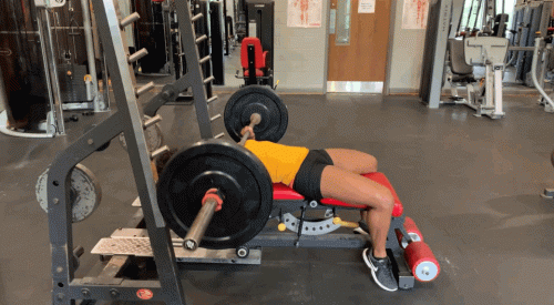 bench-press.gif
