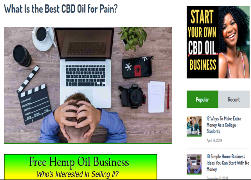 best-cbd-oil-for-pain-the-best-cbd-oil-best-organic-cbd-oil-3.png