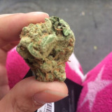 best-weed-delivery-san-jose