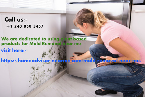 The best mold removal near me companies assess the extent of mold damage and develop a comprehensive plan to remove mold and repair your wall, floor or ceiling with 
Mold Removal near me. Read more...https://homeadvisor-nearme.com/chiropractors-near-me/