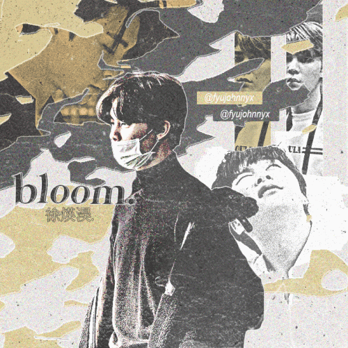 bloom35168bd6fae50998.gif