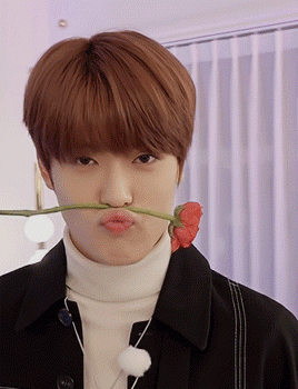 c365482d5234ebad18e6c9496c58c6d2.gif