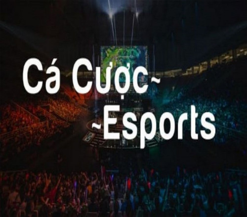 ca-cuoc-esports-15f496872439a7181.jpg