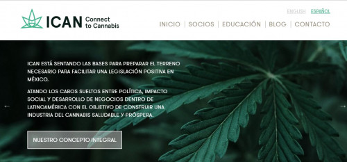 cannabis-legalizacion.jpg