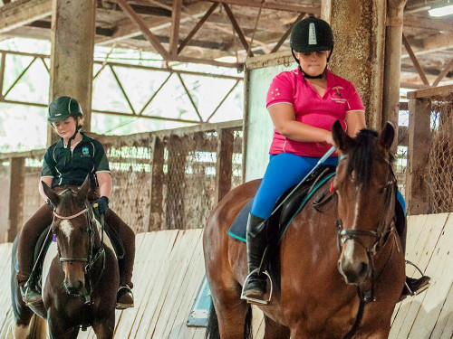 childrens-horse-riding-lessons-brisbane-JDP3182-1000x750.jpg