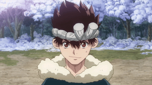 chrome-dr-stone.gif