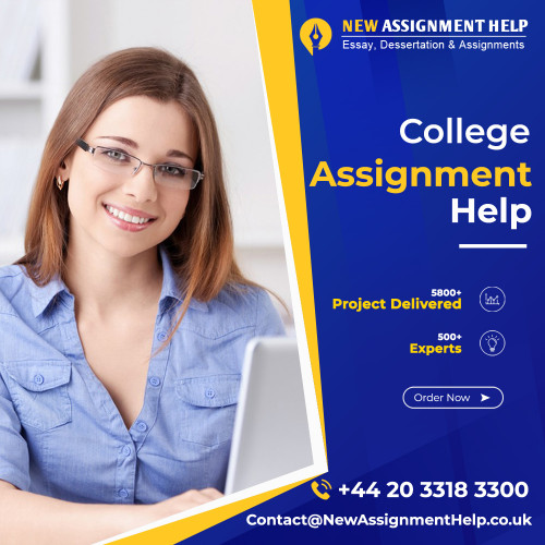 college assignment help