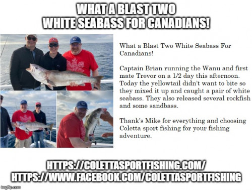 What a Blast Two White Seabass For Canadians!

Captain Brian running the Wanu and first mate Trevor on a 1/2 day this afternoon. Today the yellowtail didn’t want to bite so they mixed it up and caught a pair of white seabass. They also released several rockfish and some sandbass.

Thank’s Mike for everything and choosing Coletta sport fishing for your fishing adventure. For more information visit our website, https://colettasportfishing.com/ and also visit our Facebook page, https://www.facebook.com/colettasportfishing