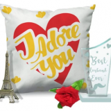 cushion-filler-Eiffel-tower-rose-and-trophy-combo.png