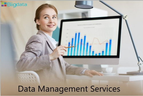 OutsourceBigdata provides trustworthy data management services for our customers. We are providing wide array of data management services such as data mining, data processing, data conversion, web research, online Catalog management, and more. Features: Distribute high quality data, reduce errors, data security, increase operational efficiency, and Business value. Contact us for end-to-end data management services at +1-30235 14656, +91-99524 22243.https://outsourcebigdata.com/