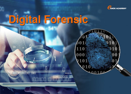 digital-Forensic.jpg