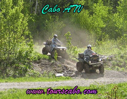 Join Tours Cabo for a thrilling Cabo ATV tour along Cabo's most gorgeous beaches, sand dunes, and coastline! We provide Bilingual guides, helmets, goggles and ground transportation from your location. Enjoy the beauty of nature by driving through the desert and mountains. https://tourscabo.com/tour/atv-adventure/