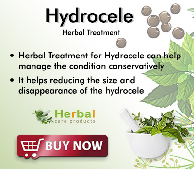 hydrocelec0e404d31f4115f1.jpg