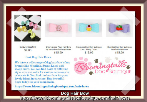 We have a wide range of dog hair bow of top brands like Wooflink, Susan Lanci and many more. You can find bows of different style, size and color for various occasions to celebrate it. You find the best bow for your lovely friend in our store. Buy beautiful bows today for your companion.
https://www.bloomingtailsdogboutique.com/hair-bows