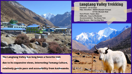 langtang-Trekking.png