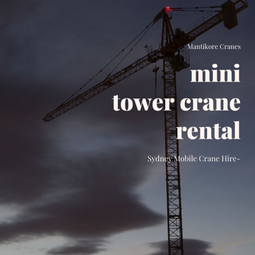 mini-tower-crane-rental.jpg