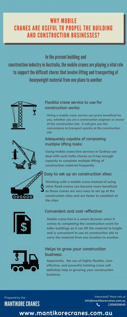 mobile-cranes-infographics.jpg