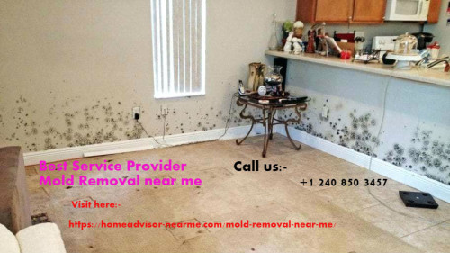 mold-mitigation-black-mold-mitigation-cost-mold-damage-company-black-mold-removal-near-me.jpg