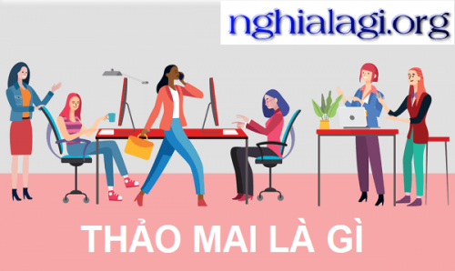 nghialagiorg.png