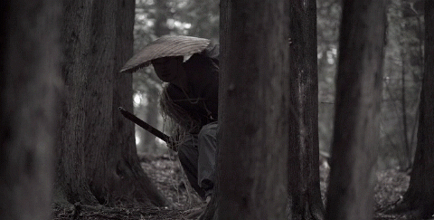 ninjas.gif