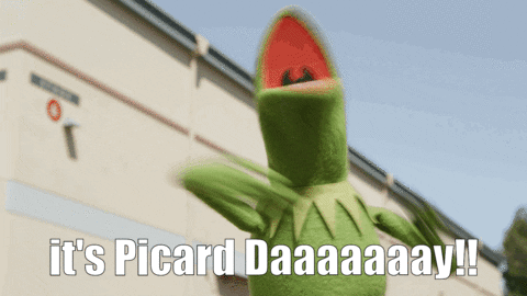 picardaykermit.gif